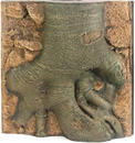 Fonas-dekoracija Root 600 šaknis 600x550mm